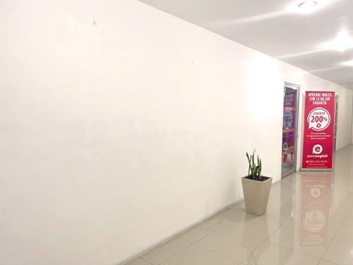 PLANET-CAMPECHE-ins-6